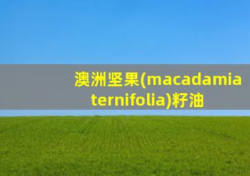 澳洲坚果(macadamia ternifolia)籽油